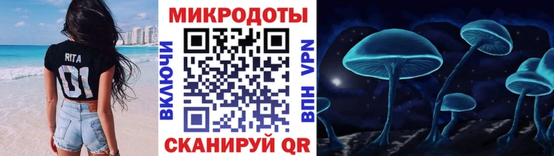 Галлюциногенные грибы Psilocybine cubensis  omg онион  Сольцы 